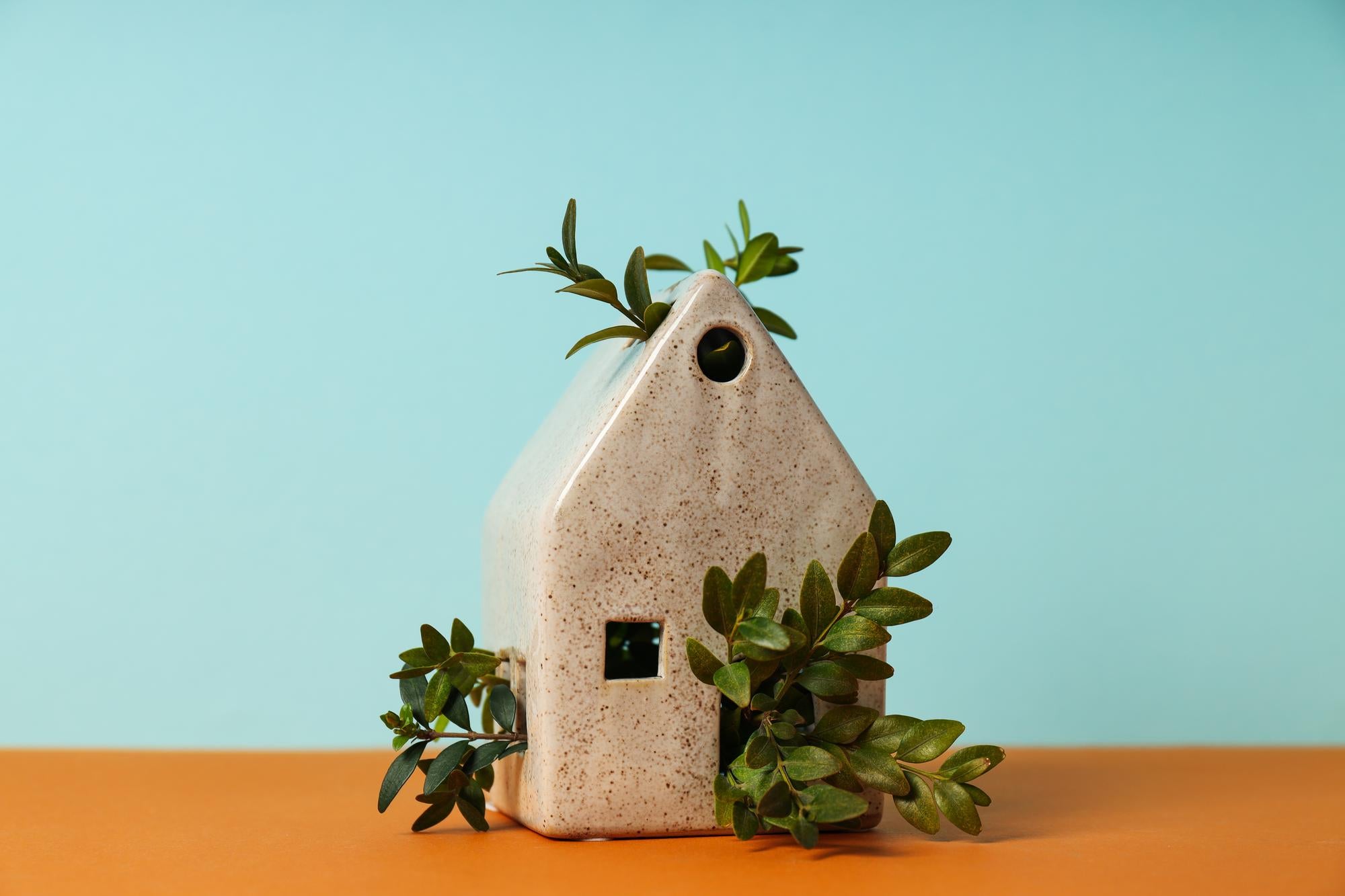 Maisons écologiques : 6 types d'habitations vertes